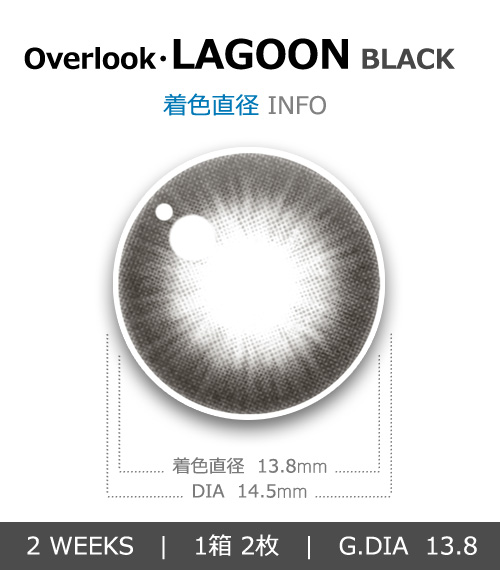 【2週間/乱視用】 トリカ ラグーン ブラック (1箱2枚)4