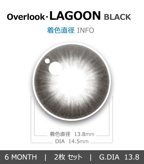 【6ヶ月/乱視用】 トリカ ラグーン ブラック4