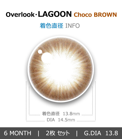 【6ヶ月/乱視用】 トリカ ラグーン チョコ ブラウン4