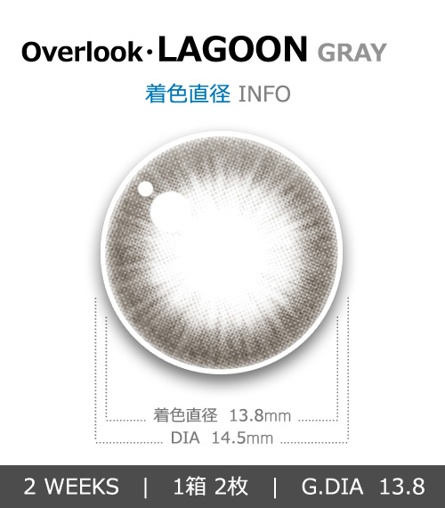 【2週間/乱視用】 トリカ ラグーン グレー (1箱2枚)4