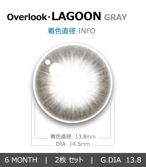 【6ヶ月/乱視用】 トリカ ラグーン グレー4