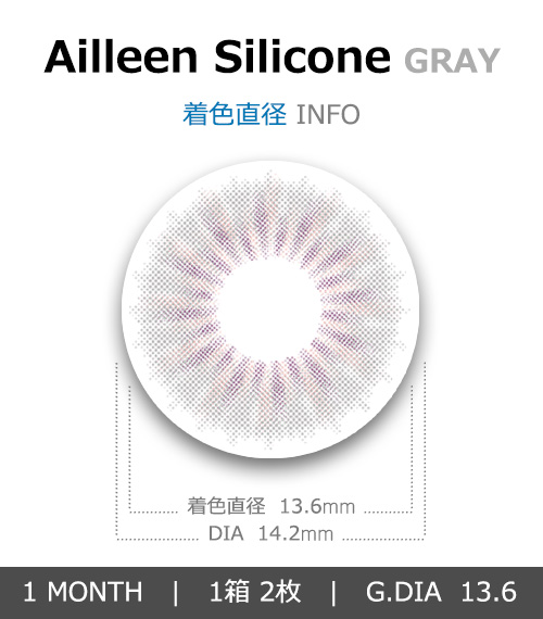 [1 Month/グレー] アイリーン シリコン (1箱 2枚)4