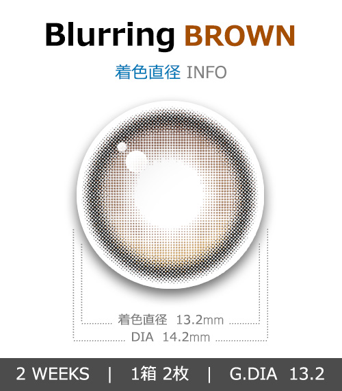 [2 Weeks/ブラウン] ブラーリング (1箱 2枚)4