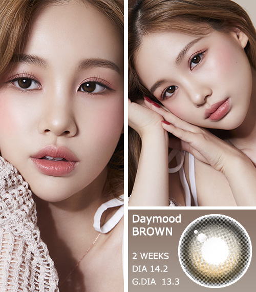 [2 Weeks/ブラウン] デイムード (1箱 2枚)3