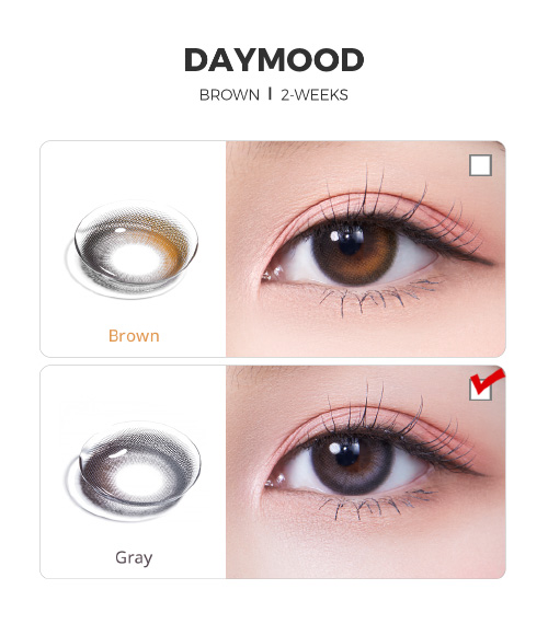 [2 Weeks/グレー] デイムード (1箱 2枚)5