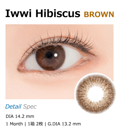 [1 Month/ブラウン] アイウィ ハイビスカス (1箱 2枚)1