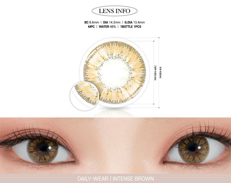 [ブラウン/BROWN] インテンス