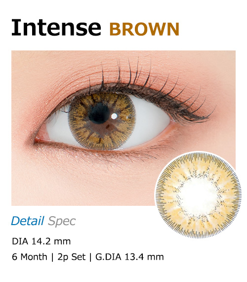 [ブラウン/BROWN] インテンス1