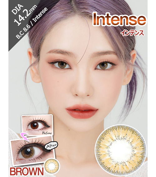 [ブラウン/BROWN] インテンス2