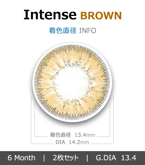 [ブラウン/BROWN] インテンス4