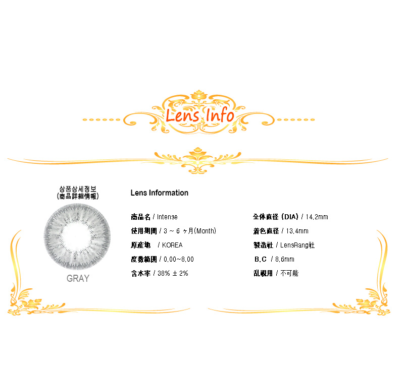 [グレー/GRAY] インテンス