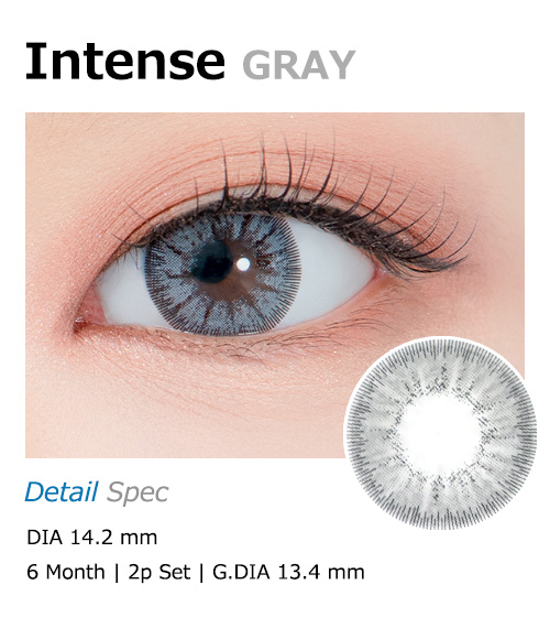 [グレー/GRAY] インテンス1