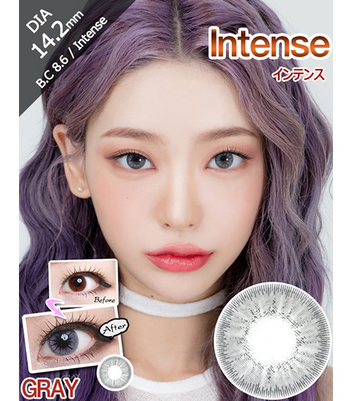 [グレー/GRAY] インテンス2
