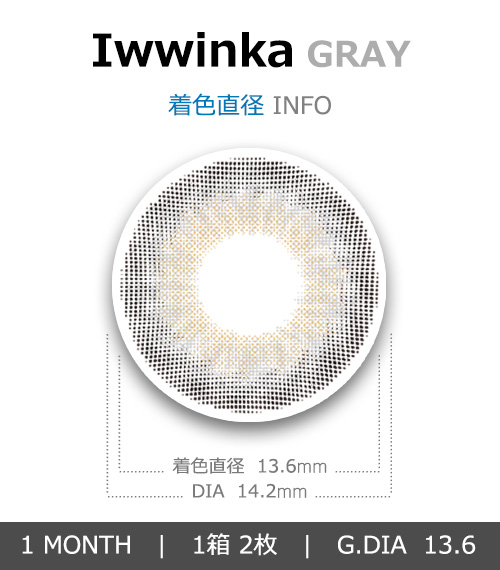 [1 Month/グレー] アイウイングカー (1箱 2枚)4