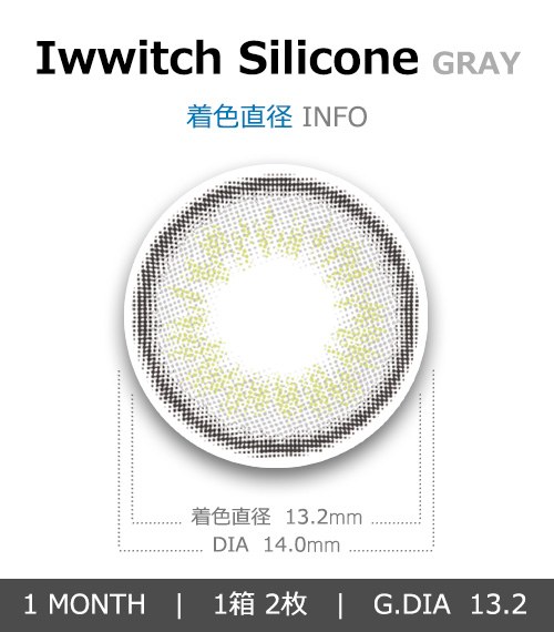 [1 Month/グレー] アイウィッチー シリコン (1箱 2枚)4
