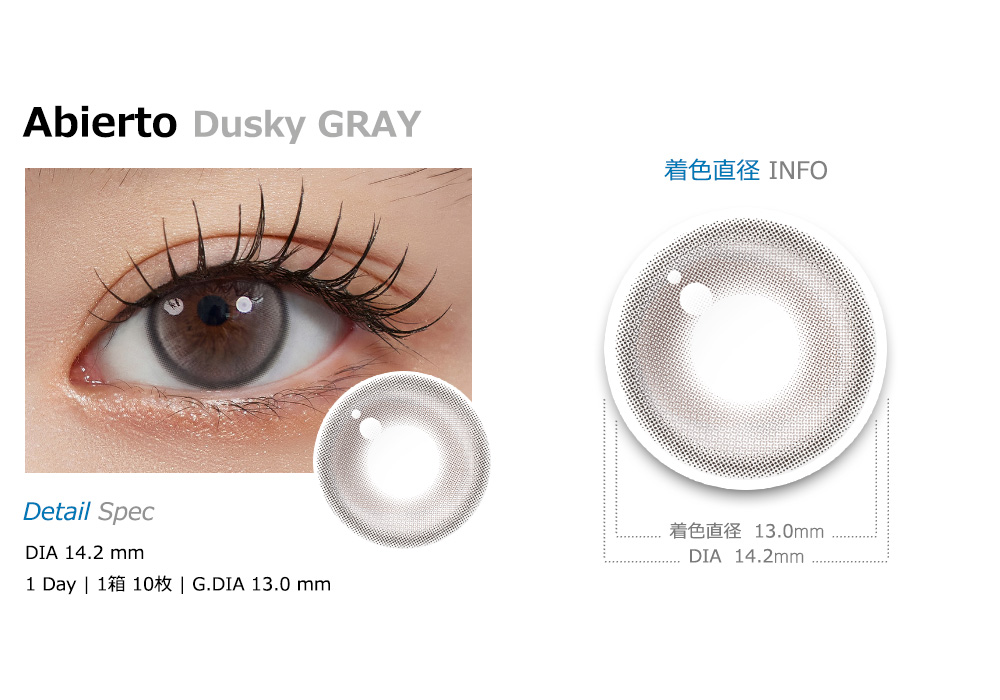 [1 Day/ダスキー グレー] アビエト (1箱 10枚)