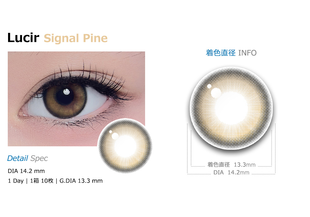 [1 Day/シグナル パイン] ルシル シリコン (1箱 10枚)