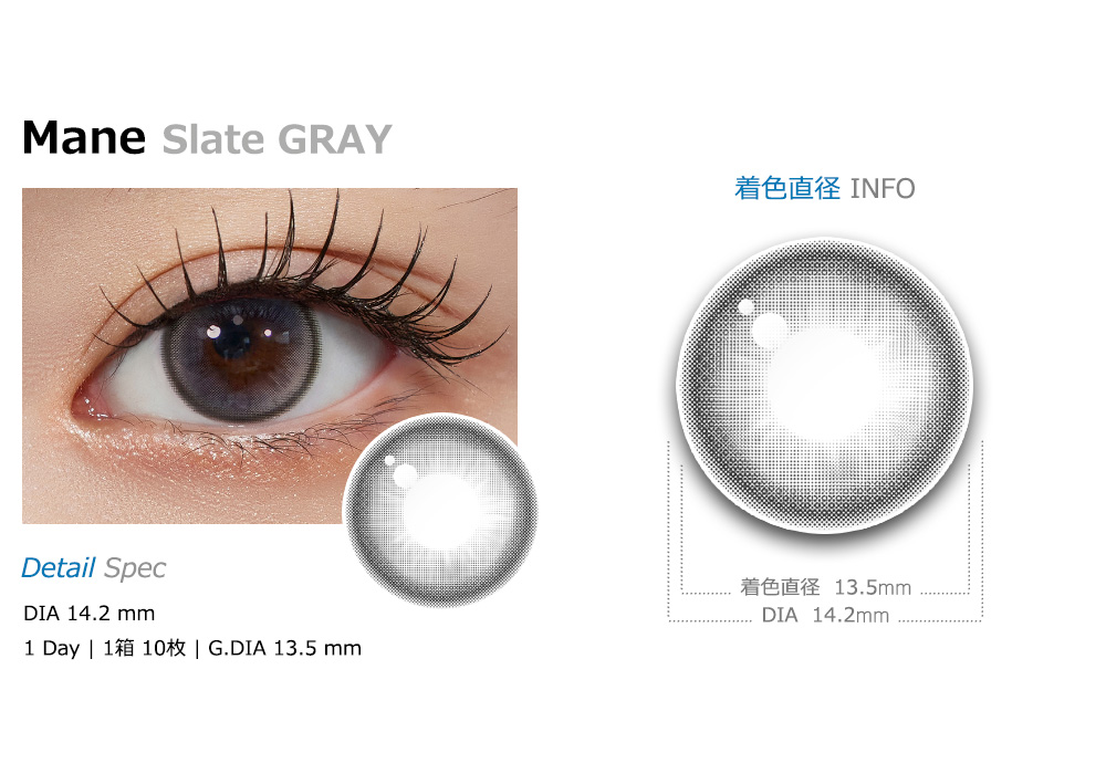 [1 Month/スレート グレー] マネ シリコン (1箱 2枚)