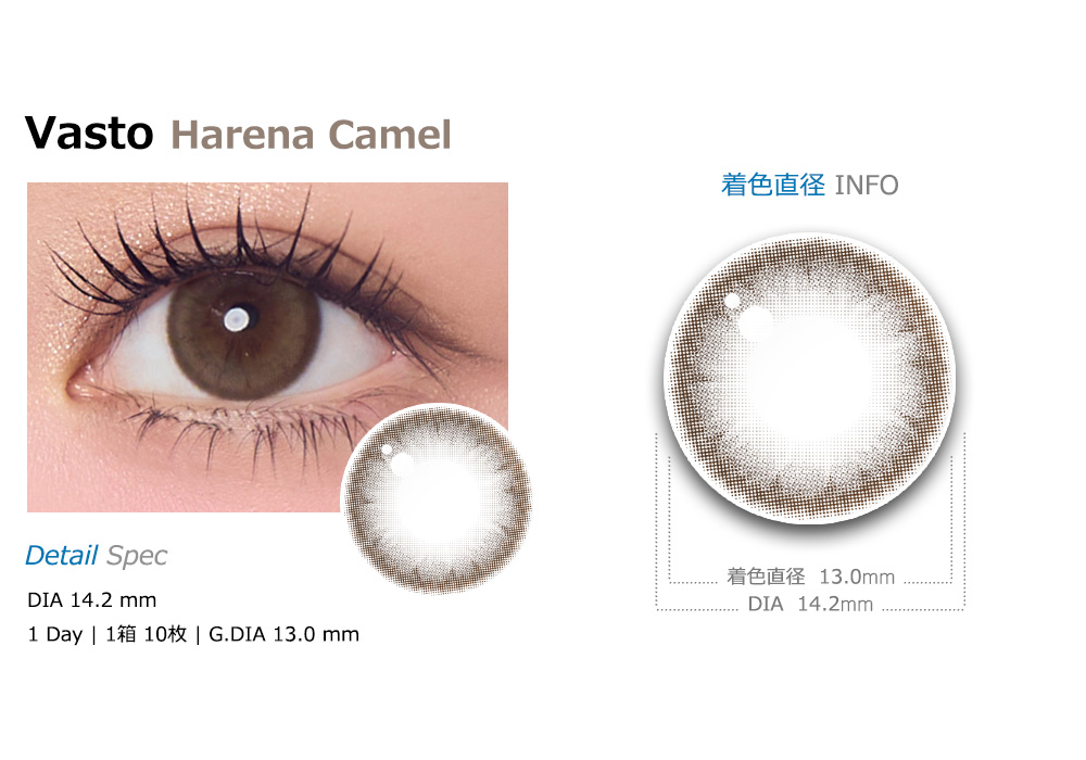 [1 Day/ハレナ キャメル] バスト (1箱 10枚)