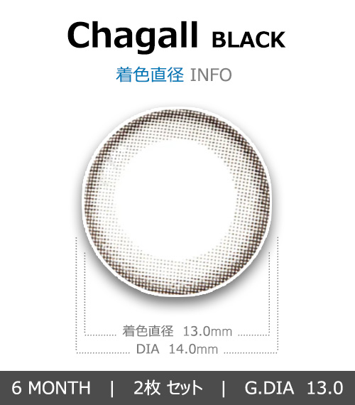 [乱視用/ブラック] シャガール4