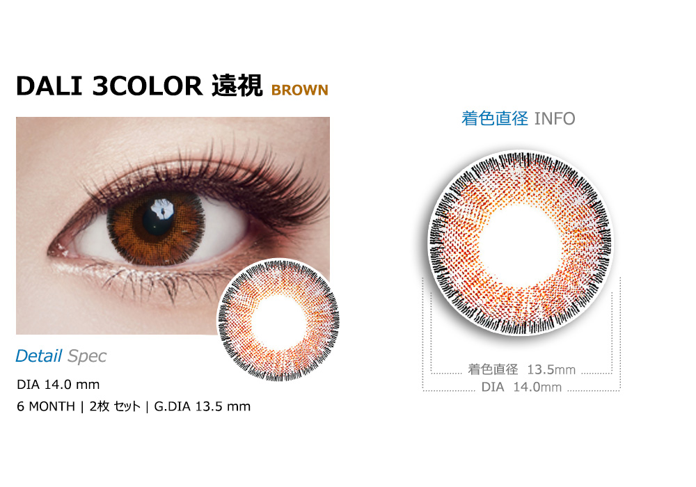 [遠視用/ブラウン] ダリ 3カラー
