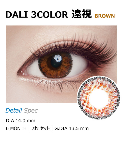 [遠視用/ブラウン] ダリ 3カラー1