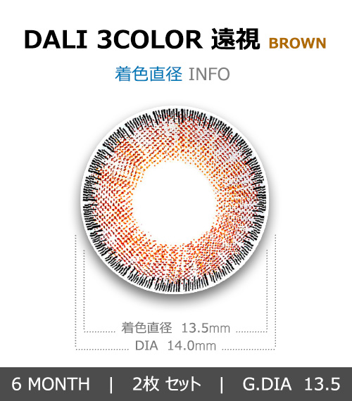 [遠視用/ブラウン] ダリ 3カラー4