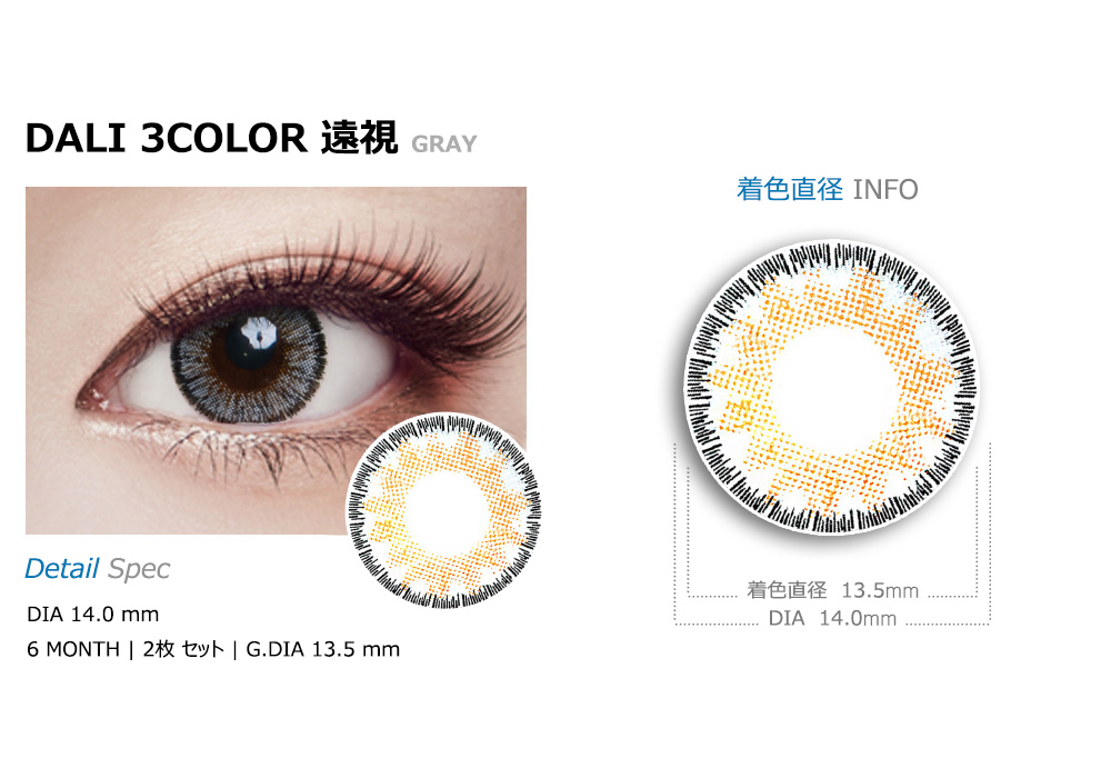 [遠視用/グレー] ダリ 3カラー