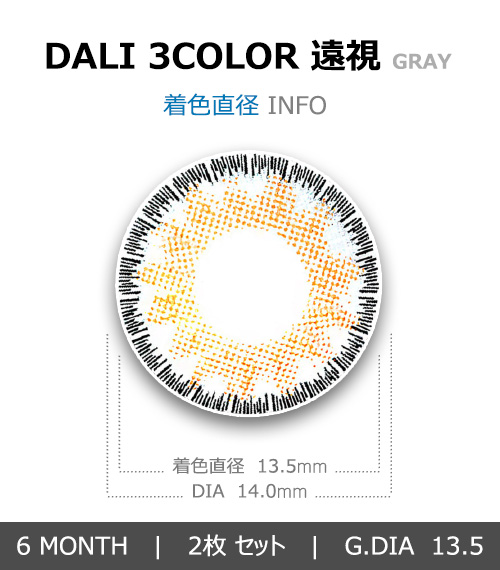 [遠視用/グレー] ダリ 3カラー4