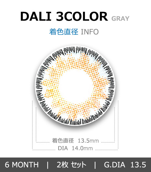 [乱視用/グレー] ダリ 3カラー4