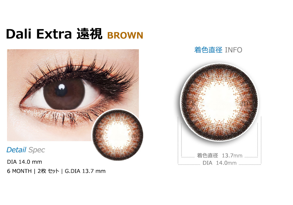[遠視用/ブラウン] ダリエクストラ
