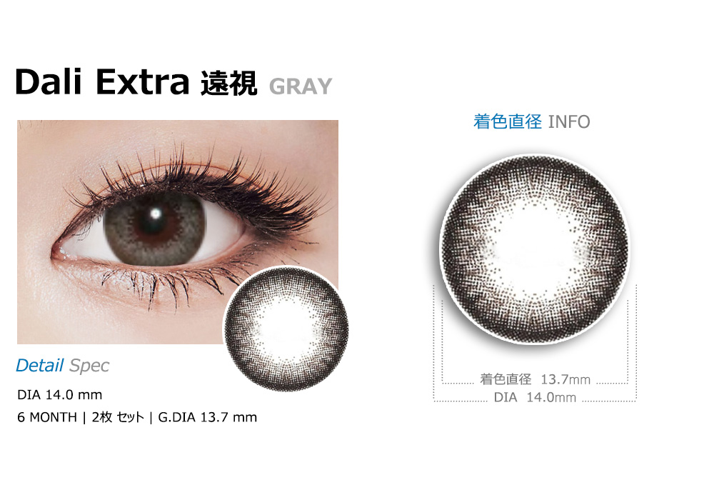 [遠視用/グレー] ダリエクストラ