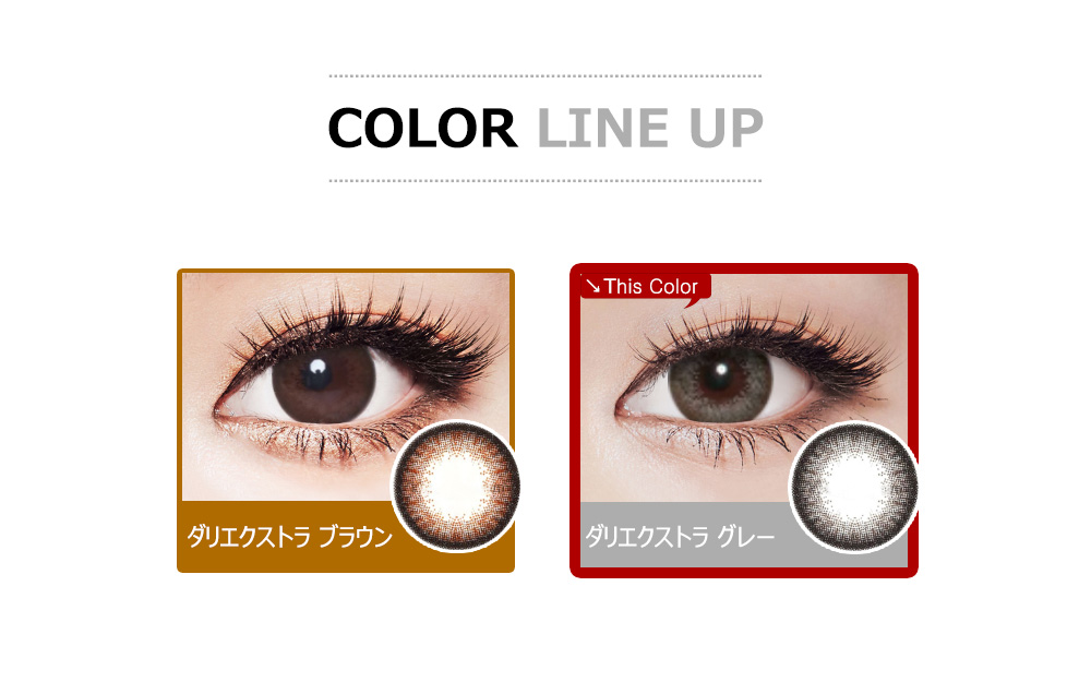 [遠視用/グレー] ダリエクストラ