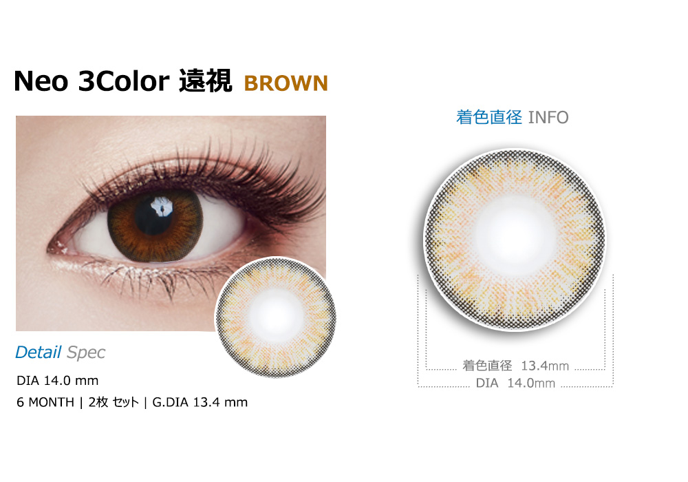 [遠視用/ブラウン] ネオ 3カラー