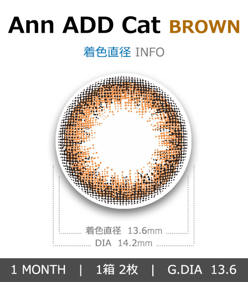 [1 Month/ブラウン] アン アド キャット (1箱 2枚)4
