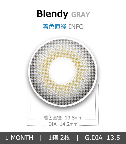 [1 Month/グレー] ブレンディ シリコン (1箱 2枚)4