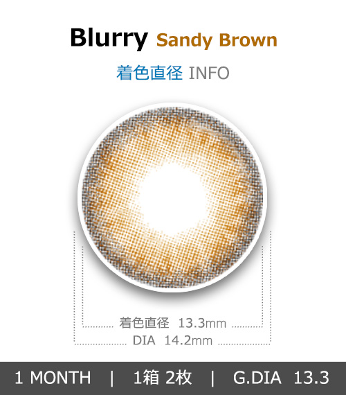 [1 Month/サンディ ブラウン] ブラリー4