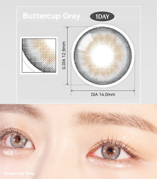 [1 Day/グレー] バターカップ (1箱 10枚)2