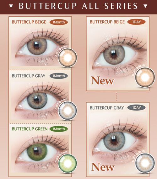 [1 Day/グレー] バターカップ (1箱 10枚)5