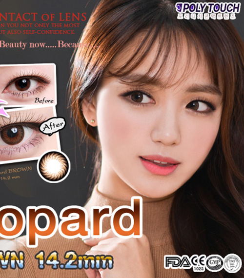 [ブラウン/BROWN] ヒョウ5