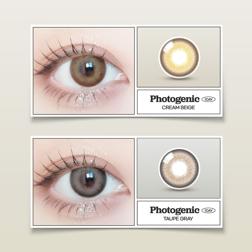 [1 Day/グレー] フォトジェニック (1箱 10枚)