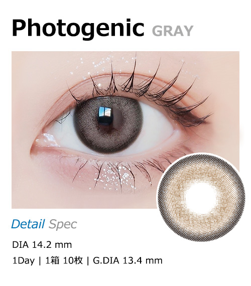 [1 Day/グレー] フォトジェニック (1箱 10枚)1