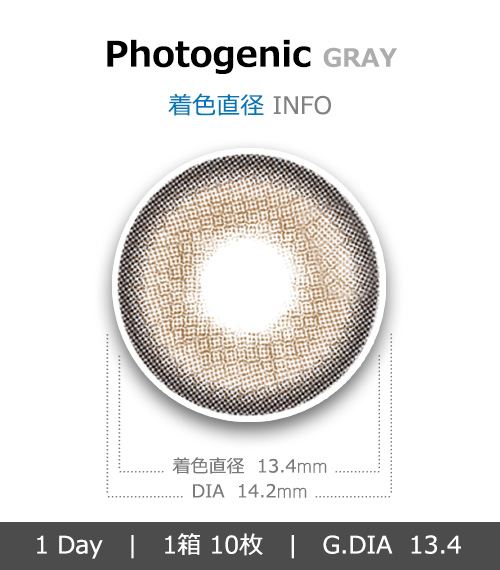 [1 Day/グレー] フォトジェニック (1箱 10枚)4