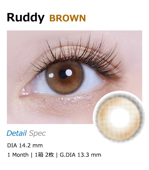[1 Month/ブラウン] ラディ Ruddy (1箱 2枚)1