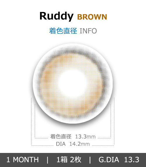 [1 Month/ブラウン] ラディ Ruddy (1箱 2枚)4