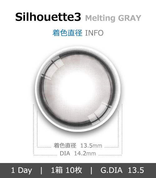 [1 Day/メルティング グレー] シルエット3 (1箱 10枚)4