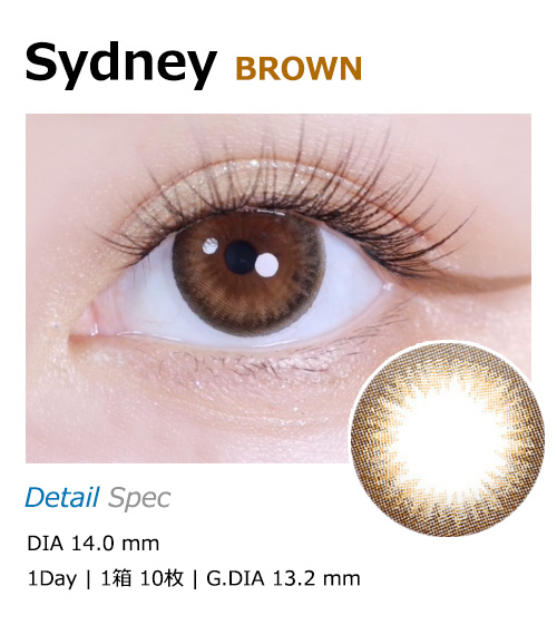 [1 Day/ブラウン] シドニー(1箱 10枚)1