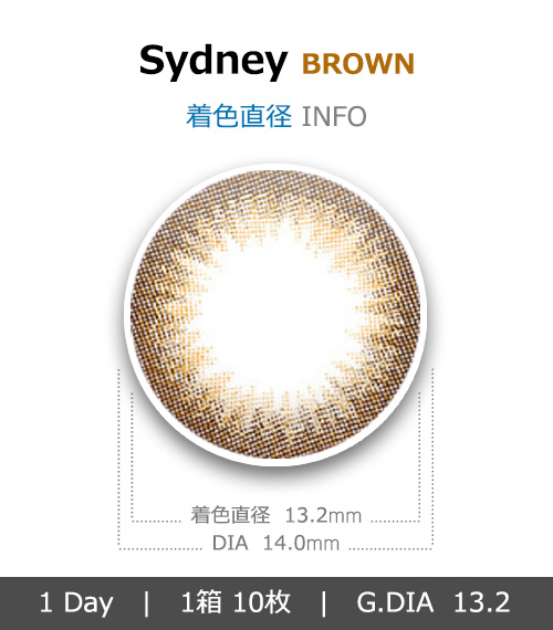 [1 Day/ブラウン] シドニー(1箱 10枚)4