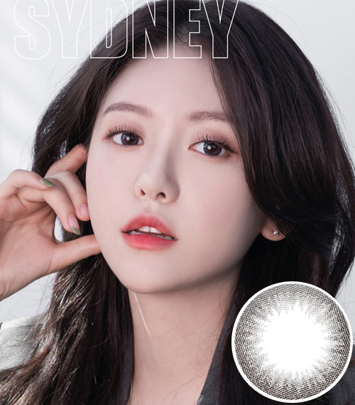 [1 Day/グレー] シドニー (1箱 10枚)3