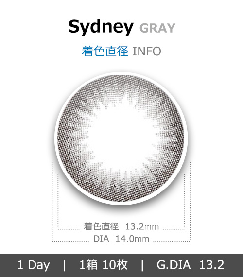 [1 Day/グレー] シドニー (1箱 10枚)4